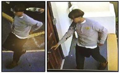 A suspect which police are searching for in connection with the shooting of several people at a church in Charleston, South Carolina is seen in stills from CCTV footage on a poster released by the Charleston Police Department June 18, 2015. REUTERS/Charleston Police Department/Handout via Reuters
